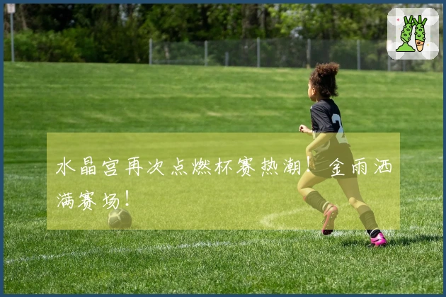 水晶宫再次点燃杯赛热潮！金雨洒满赛场！